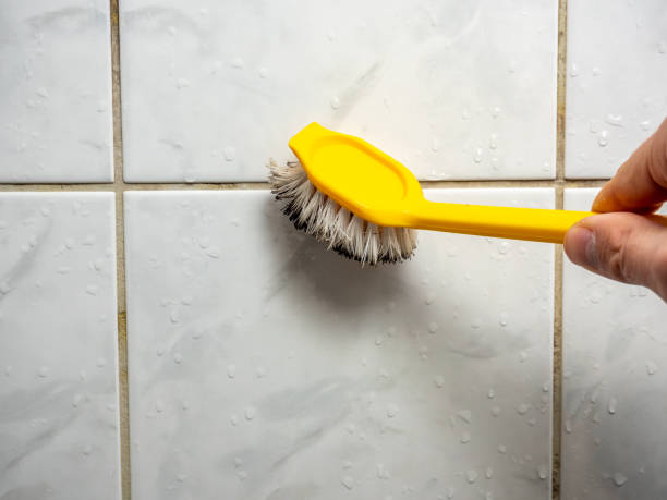 Best Commercial Mold Remediation in Beach Park, IL